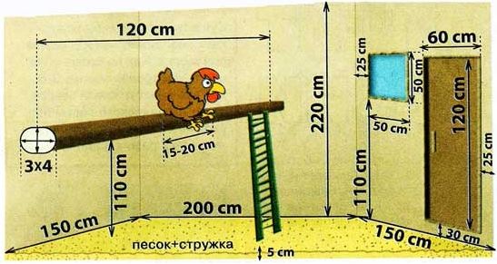 Алгоритм возведения курятника 